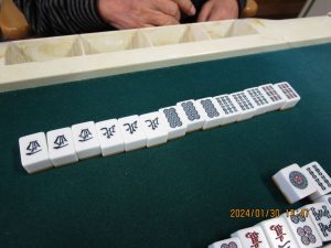 IMG_4234